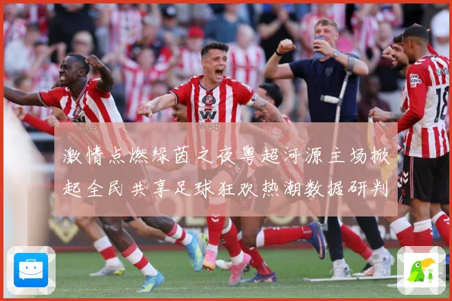 激情点燃绿茵之夜粤超河源主场掀起全民共享足球狂欢热潮数据研判-深度解析