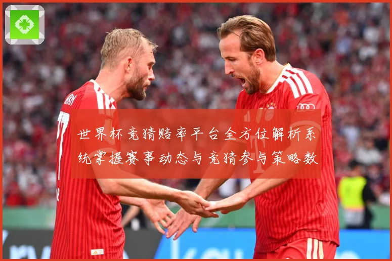 世界杯竞猜赔率平台全方位解析系统掌握赛事动态与竞猜参与策略数据研判-深度解析